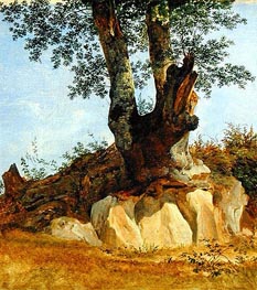 A Tree in Campagna, c.1822/23 by Heinrich Reinhold | Painting Reproduction
