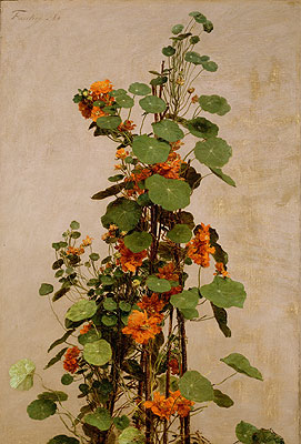Nasturtiums, Capucines, Tropaeolum majus | Fantin-Latour | Painting Reproduction