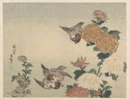 Spatzen und Chrysanthemen, 1815 von Hokusai | Gemälde-Reproduktion