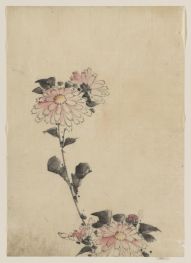 Rosa Blumenblüten..., n.d von Hokusai | Gemälde-Reproduktion