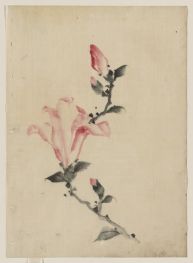 Rosa Blüte an einem Stiel, n.d von Hokusai | Gemälde-Reproduktion