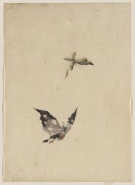 Schmetterling und Motte, n.d von Hokusai | Gemälde-Reproduktion