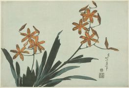 Orchideen in Orange, 1832 von Hokusai | Gemälde-Reproduktion