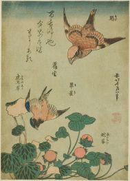 Raubwürger und Blaukehlchen mit Steinbrech und ..., 1834 von Hokusai | Gemälde-Reproduktion