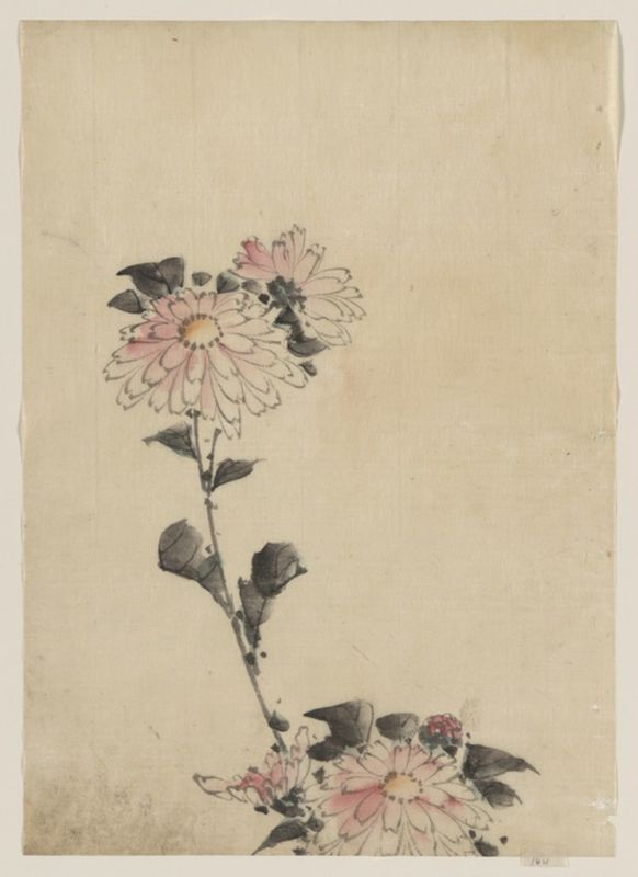 Hokusai | Pink Flower Blossoms..., n.d Pink Flower Blossoms..., n.d | Hokusai