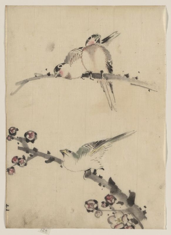 Three Birds Perched on Branches, One with Blossoms, n.d | Hokusai