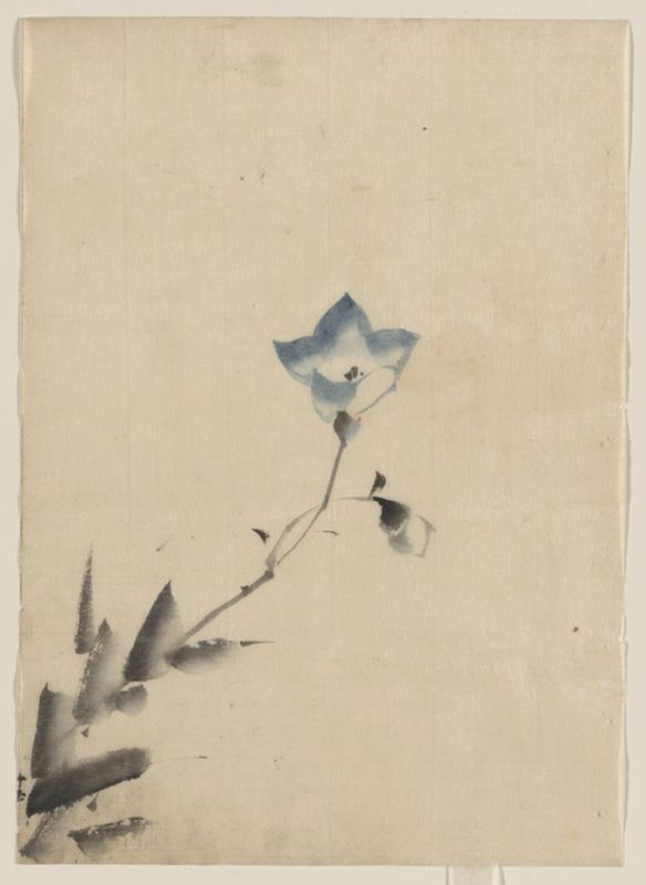 Blue blossom at the end of a stem, n.d | Hokusai