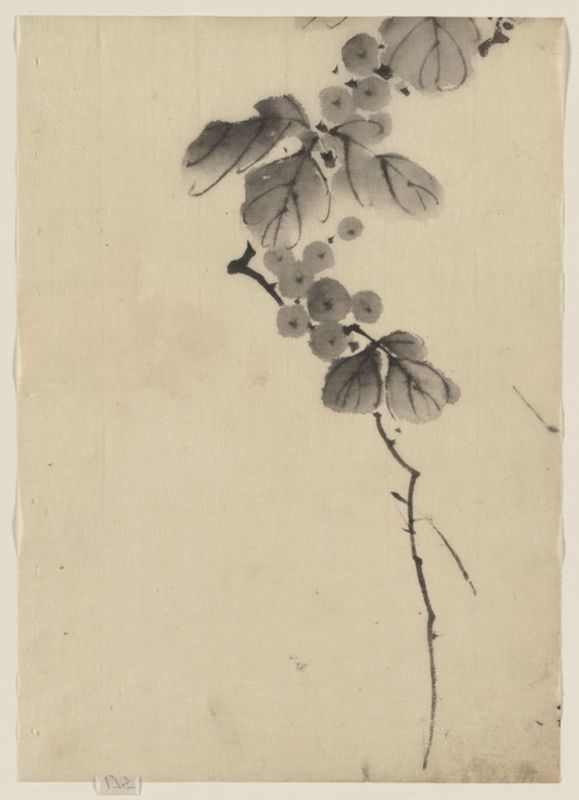 Branch with leaves and berries, n.d | Hokusai