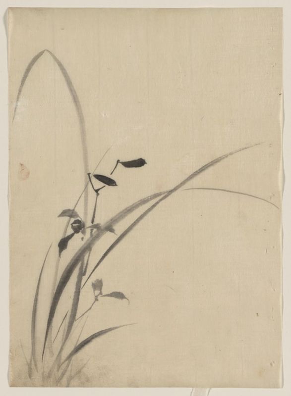 Hokusai | Grasses, n.d Grasses, n.d | Hokusai