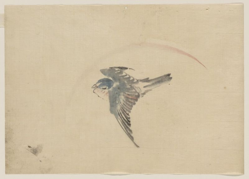 A bird flying to the left, seen from above, n.d | Hokusai