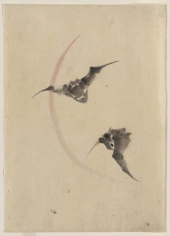 Hokusai | Two bats flying, n.d Two bats flying, n.d | Hokusai