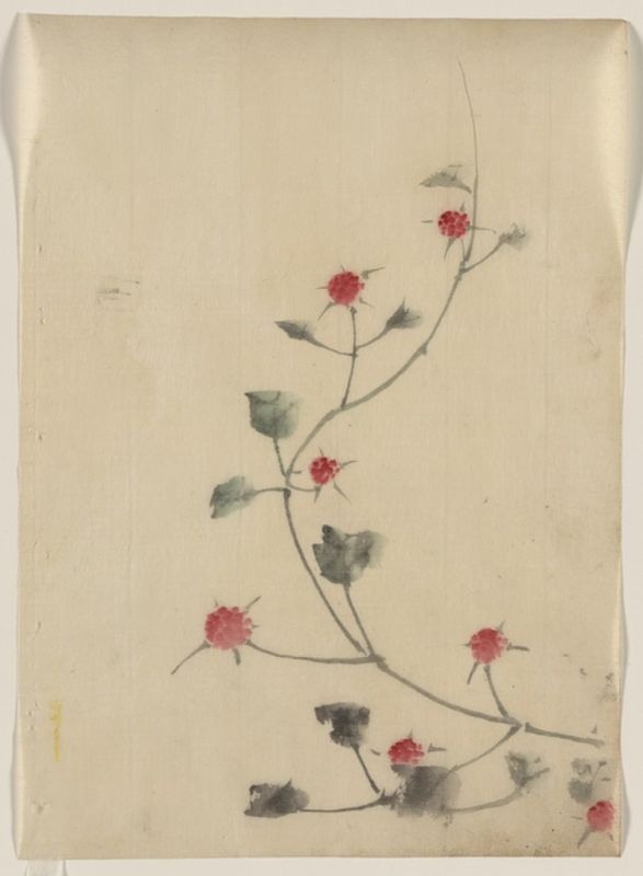 Hokusai | Small red blossoms on a vine, n.d Small red blossoms on a vine, n.d | Hokusai