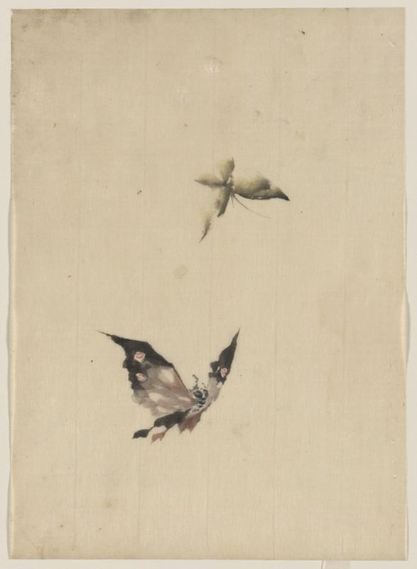 Hokusai | Butterfly and moth, n.d Butterfly and moth, n.d | Hokusai