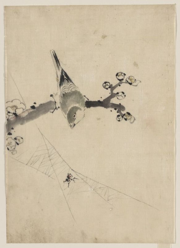Bird on an branch, n.d | Hokusai