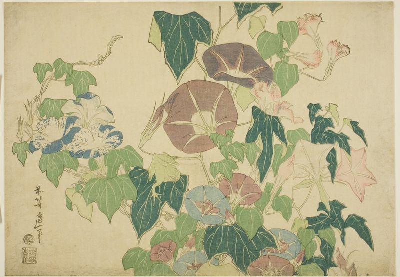 Hokusai | Morning Glories and Tree-frog, 1825 Morning Glories and Tree-frog, 1825 | Hokusai