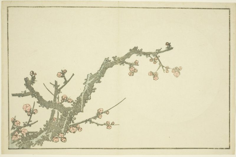 Blooming Plum Tree, from The Picture Book of Realistic Paintings of Hokusai, 1814 | Hokusai