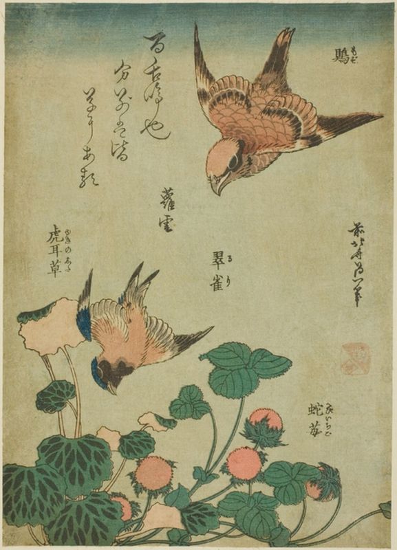 Hokusai | Bull-headed Shrike and Bluebird with Saxifrage and Wild Strawberry, 1834 Bull-headed Shrike and Bluebird with Saxifrage and Wild Strawberry, 1834 | Hokusai