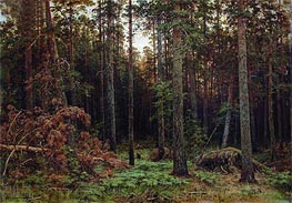 Pine Forest, 1885 by Ivan Shishkin | Painting Reproduction