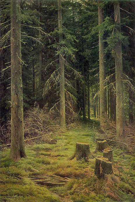 Fir-Tree Forest, 1873 | Ivan Shishkin | Painting Reproduction