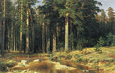 Mast-Tree Grove, 1898 | Ivan Shishkin | Gemälde Reproduktion