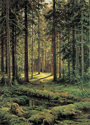 Pine Forest, Sunny Day, 1895 | Ivan Shishkin | Painting Reproduction