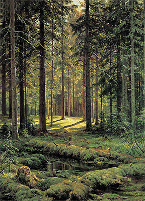 Kiefernwald, sonniger Tag, 1895 | Ivan Shishkin
