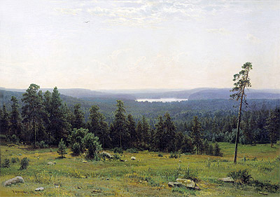 Fernsicht, Fluss Kaman, 1884 | Ivan Shishkin | Gemälde Reproduktion