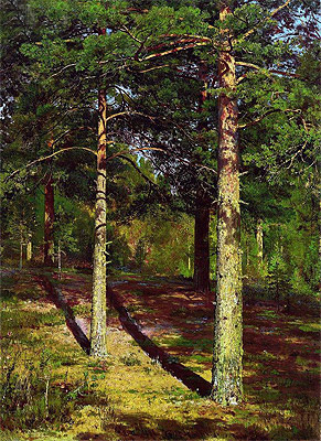 Pine Trees Lit Up by the Sun, 1886 | Ivan Shishkin | Gemälde Reproduktion