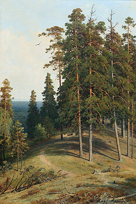 Pine on a Sandy Soil, 1895 | Ivan Shishkin | Gemälde Reproduktion