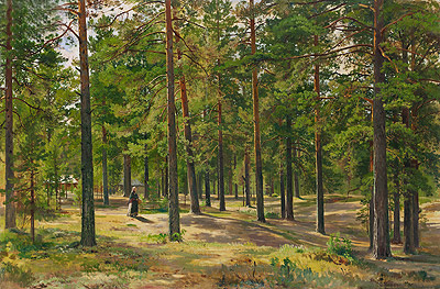 In the Pine Forest, 1889 | Ivan Shishkin | Painting Reproduction