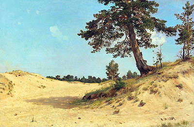 Kiefer im Sand | Ivan Shishkin | Gemälde Reproduktion
