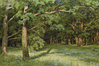 Die Waldlichtung, 1896 | Ivan Shishkin