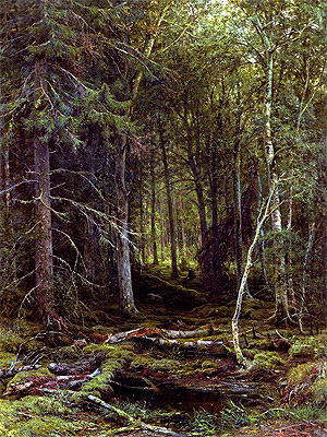 Hinterwälder, 1872 von Ivan Shishkin | Gemälde-Reproduktion