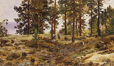 Auf sandigem Boden, c.1889/90 von Ivan Shishkin | Gemälde-Reproduktion