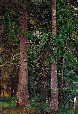Spruce Forest, c.1889/90 | Ivan Shishkin | Gemälde Reproduktion