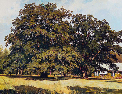 Mordvinovskie Oaks, 1891 | Ivan Shishkin | Gemälde Reproduktion