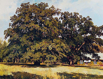 Mordwinowskie Eichen, 1891 von Ivan Shishkin | Gemälde-Reproduktion