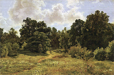 Waldrand eines Laubwaldes, 1895 von Ivan Shishkin | Gemälde-Reproduktion