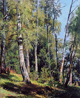 Birkenhain, 1896 von Ivan Shishkin | Gemälde-Reproduktion