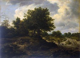 Landscape with a Traveller, c.1650 by Ruisdael | Painting Reproduction