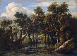 Ein bewaldeter Sumpf, c.1660/70 von Ruisdael | Gemälde-Reproduktion