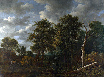 A Pool Surrounded by Trees, c.1665 | Ruisdael | Painting Reproduction