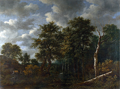 A Pool Surrounded by Trees | Ruisdael | Painting Reproduction