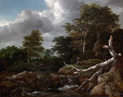 Forest Scene, c.1655 | Ruisdael