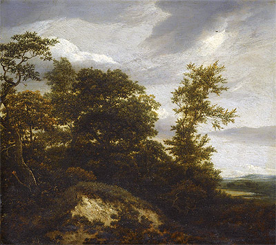 A Wooded Dune Landscape, undated | Ruisdael | Painting Reproduction