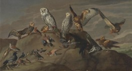 Vogelstudien | Jacques-Laurent Agasse | Gemälde Reproduktion