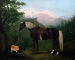 Pferd und Hund in einer Landschaft | Jacques-Laurent Agasse | Gemälde Reproduktion