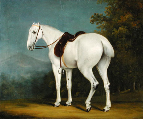 A Lady's Grey Hunter, c.1806 | Jacques-Laurent Agasse | Painting Reproduction