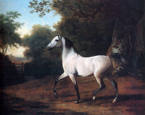 A Grey Arab Stallion in a Wooded Landscape, n.d. by Jacques-Laurent Agasse | Painting Reproduction