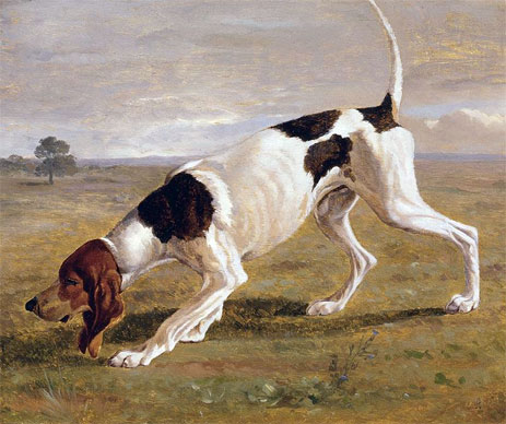 A Pointer in a Landscape, n.d. by Jacques-Laurent Agasse | Painting Reproduction